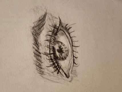 Eye
